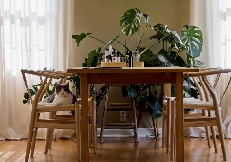 home swap in Carthage, Missouri