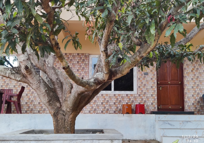 home swap in Sathanuru, India