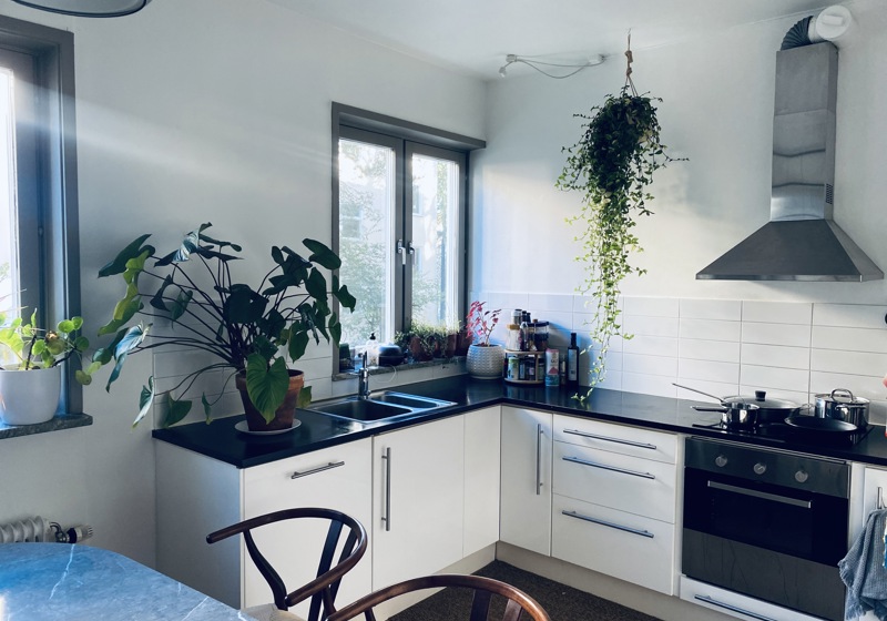 home swap in Stockholm, Sweden